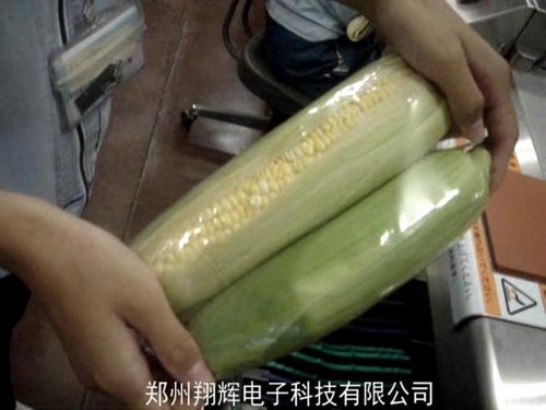 蔬菜自動(dòng)包裝機(jī)